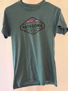 Patagonia Teal Short-Sleeve Logo Tee